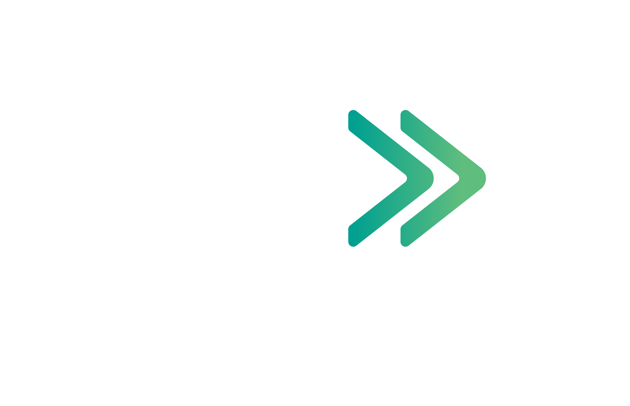 Logo Beto Preto branco vertical